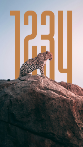 4K Live Wallpaper App